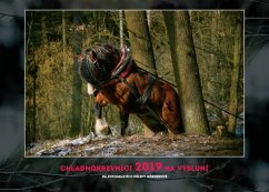 Chladnokrevníci 2019 nástěnný kalendář