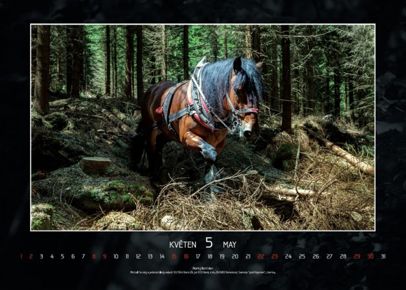 Chladnokrevníci 2021 nástěnný kalendář