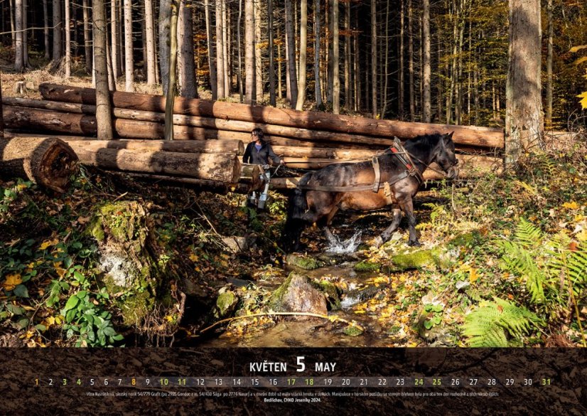 Chladnokrevníci 2025 nástěnný kalendář