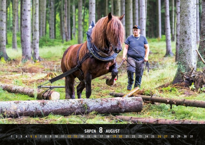 Chladnokrevníci 2023 nástěnný kalendář