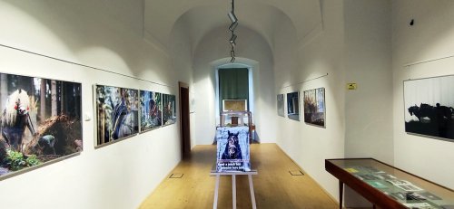 Výstava fotografií "Chladnokrevní koně v zeleném šeru lesů", NZM Zámek Ohrada