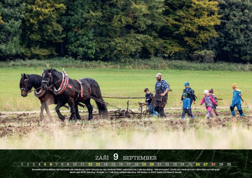 Chladnokrevníci 2026 nástěnný kalendář