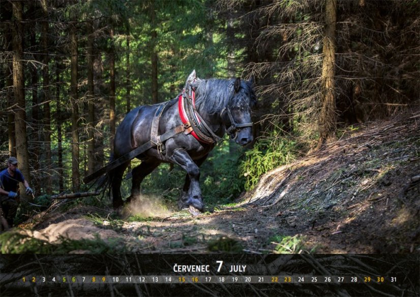 Chladnokrevníci 2023 nástěnný kalendář