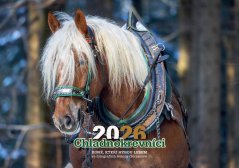 Chladnokrevníci 2026 nástěnný kalendář