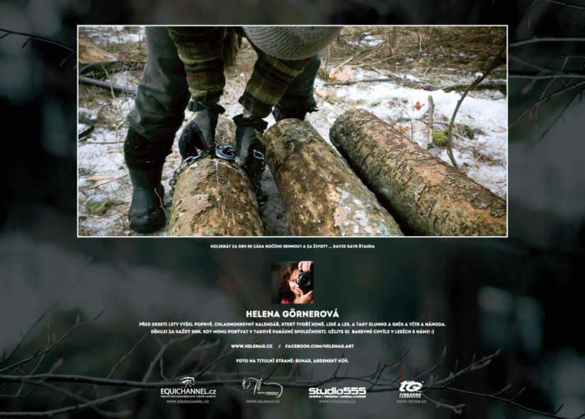 Chladnokrevníci 2019 nástěnný kalendář