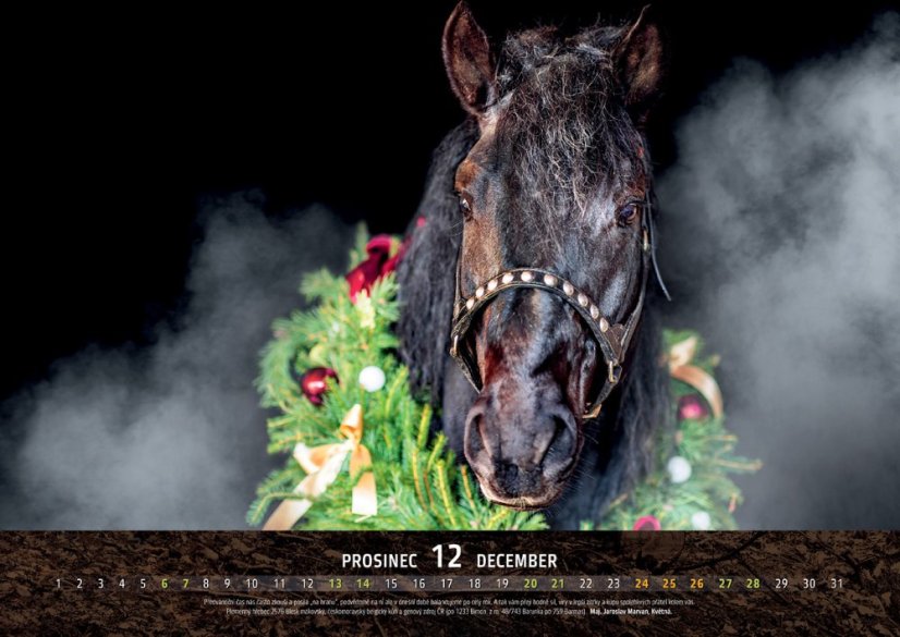 Chladnokrevníci 2025 nástěnný kalendář