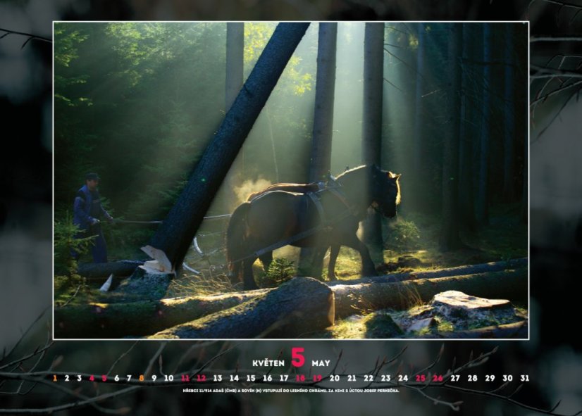 Chladnokrevníci 2019 nástěnný kalendář