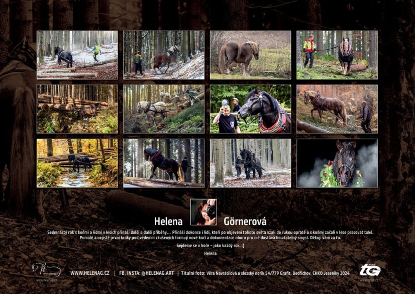 Chladnokrevníci 2025 nástěnný kalendář