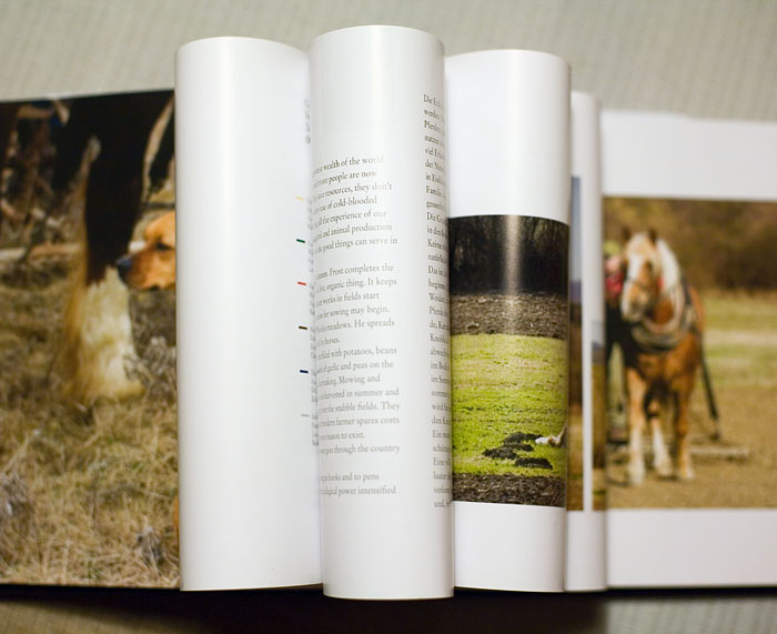 Kniha s osobním věnováním: IMPRESE (2010)