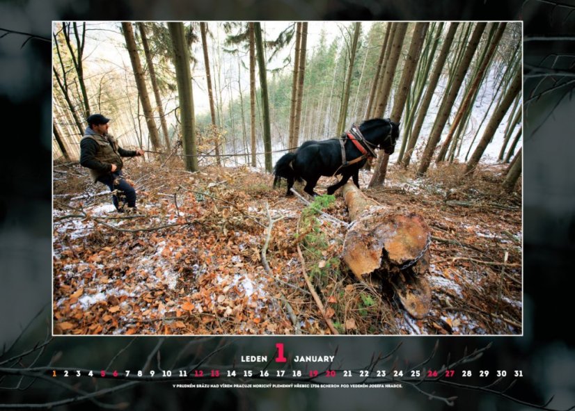 Chladnokrevníci 2019 nástěnný kalendář