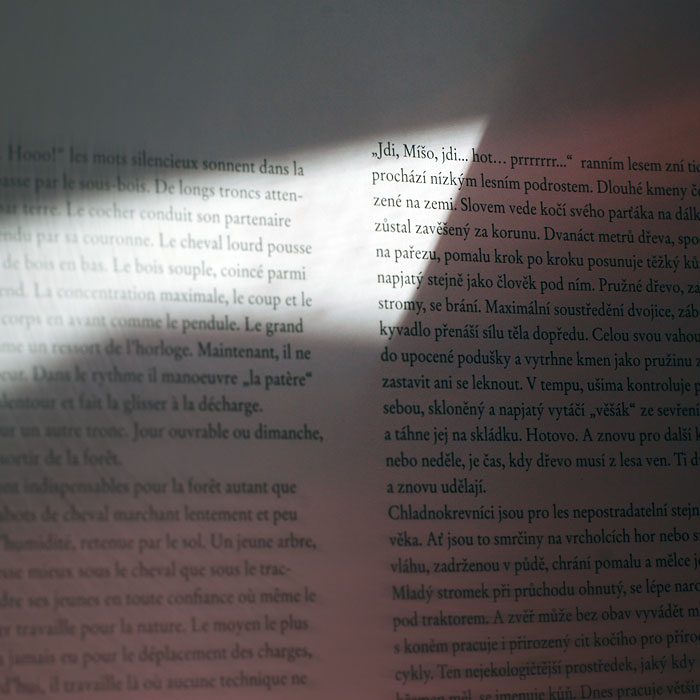 Kniha s osobním věnováním: IMPRESE (2010)