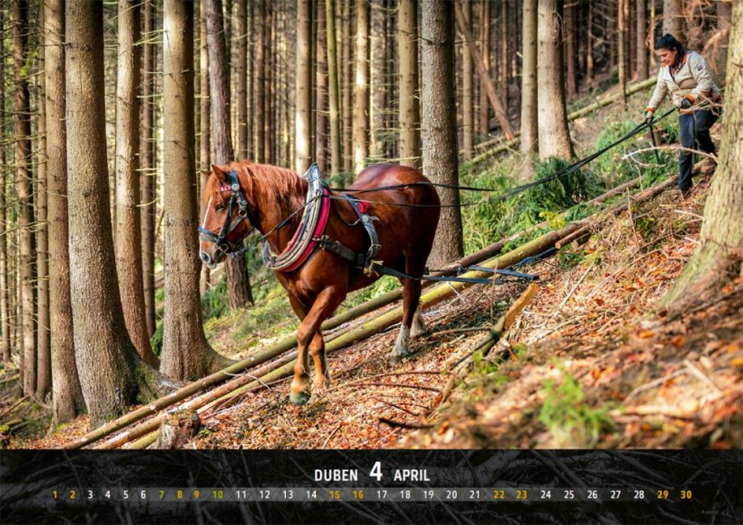 Chladnokrevníci 2023 nástěnný kalendář