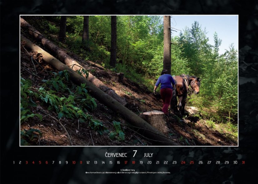 Chladnokrevníci 2021 nástěnný kalendář