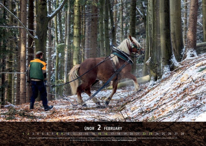 Chladnokrevníci 2025 nástěnný kalendář