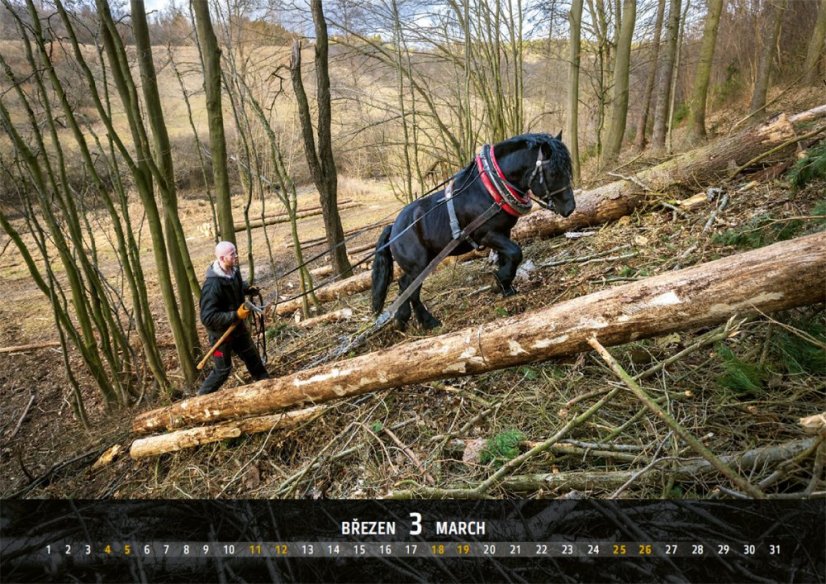 Chladnokrevníci 2023 nástěnný kalendář