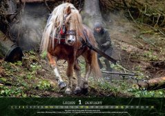 Chladnokrevníci 2026 nástěnný kalendář