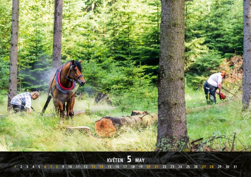 Chladnokrevníci 2023 nástěnný kalendář