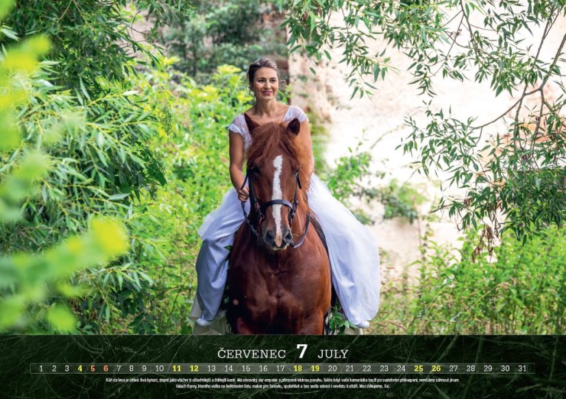 Chladnokrevníci 2026 nástěnný kalendář