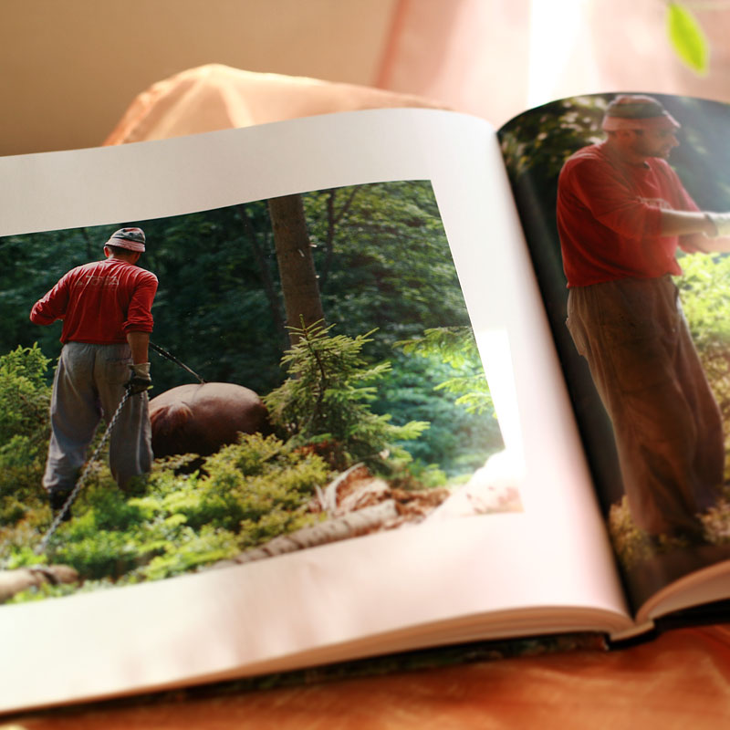 Kniha s osobním věnováním: IMPRESE (2010)