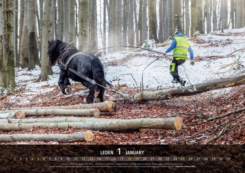Chladnokrevníci 2025 nástěnný kalendář