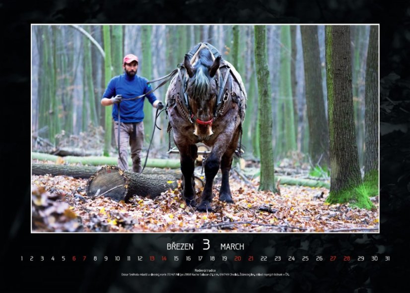 Chladnokrevníci 2021 nástěnný kalendář