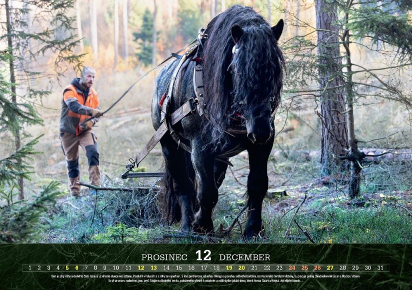 Chladnokrevníci 2026 nástěnný kalendář