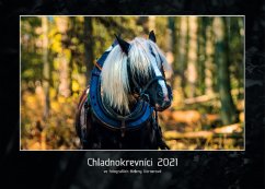 Chladnokrevníci 2021 nástěnný kalendář
