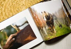 Kniha s osobním věnováním: IMPRESE (2010)