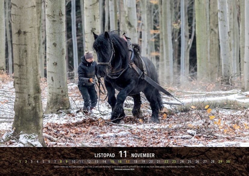 Chladnokrevníci 2025 nástěnný kalendář