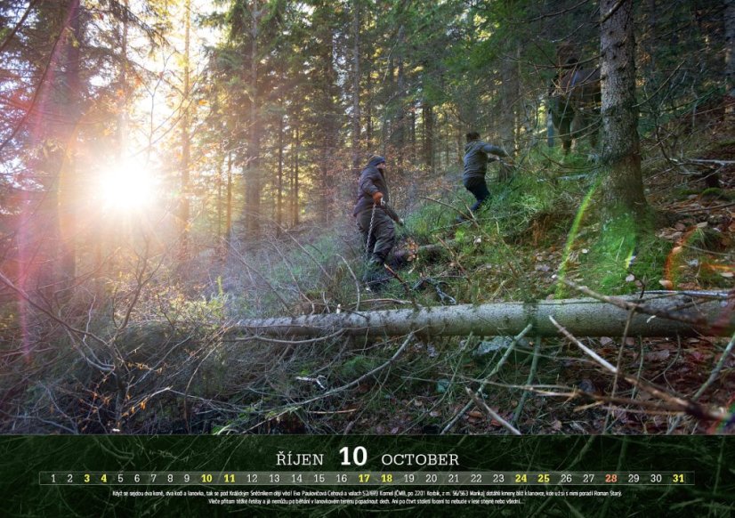 Chladnokrevníci 2026 nástěnný kalendář
