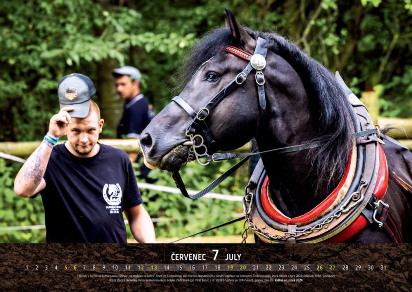 Chladnokrevníci 2025 nástěnný kalendář