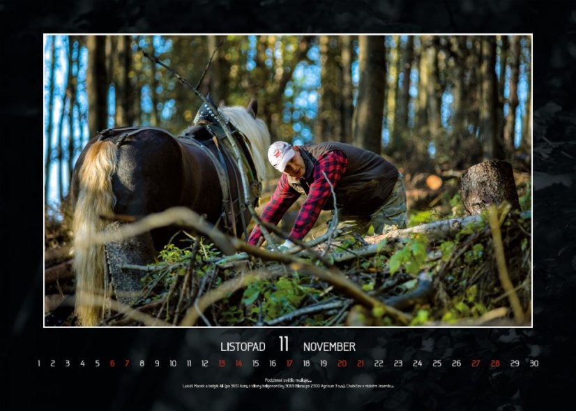 Chladnokrevníci 2021 nástěnný kalendář