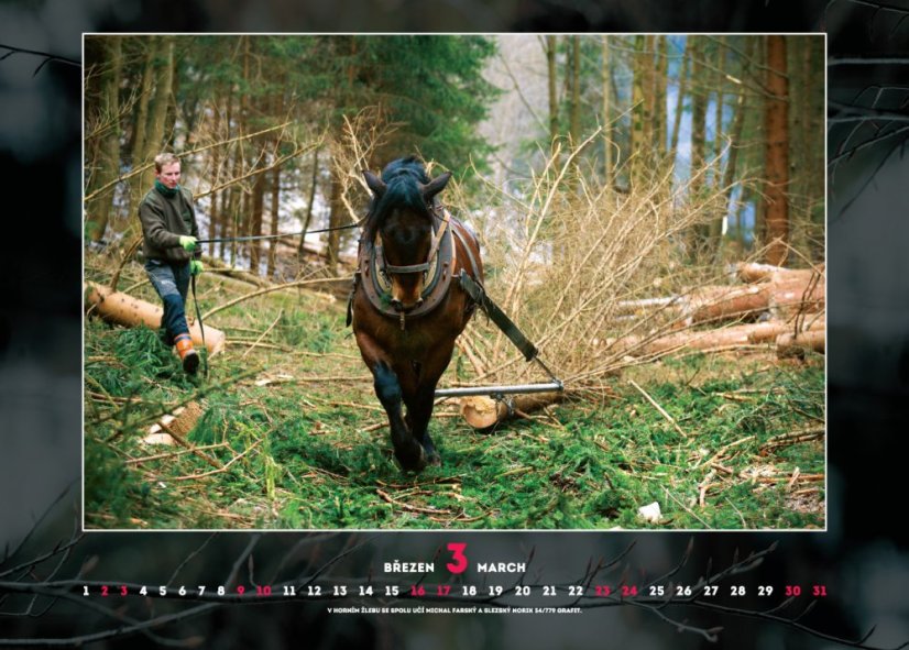 Chladnokrevníci 2019 nástěnný kalendář