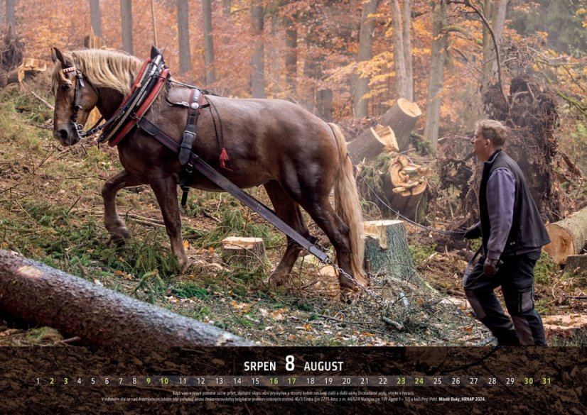 Chladnokrevníci 2025 nástěnný kalendář