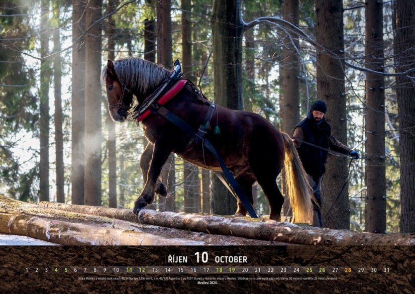 Chladnokrevníci 2025 nástěnný kalendář