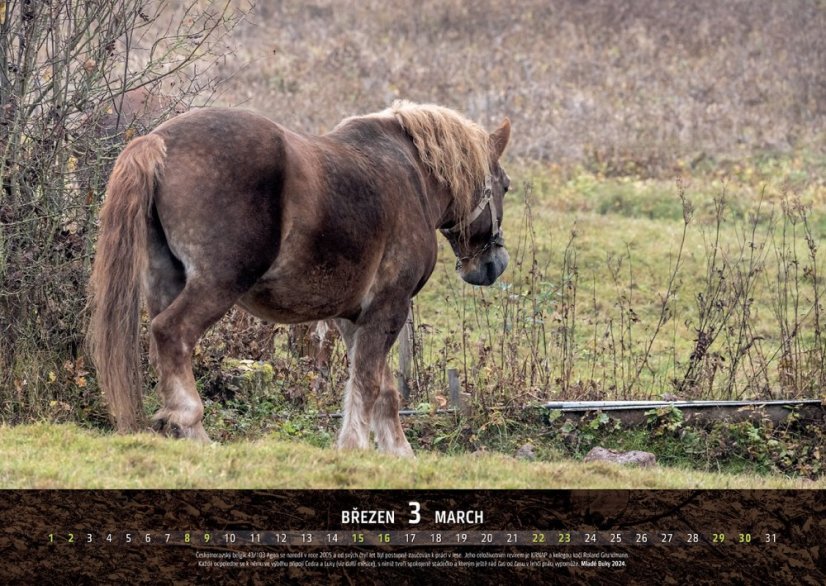 Chladnokrevníci 2025 nástěnný kalendář