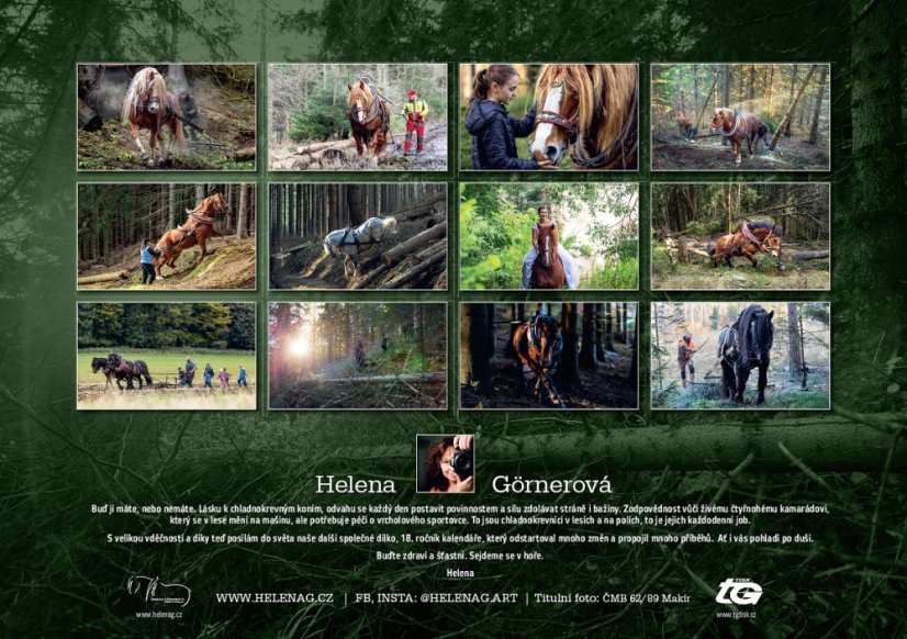 Chladnokrevníci 2026 nástěnný kalendář