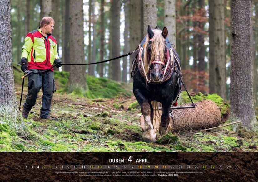 Chladnokrevníci 2025 nástěnný kalendář
