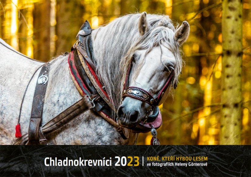 Chladnokrevníci 2023 nástěnný kalendář