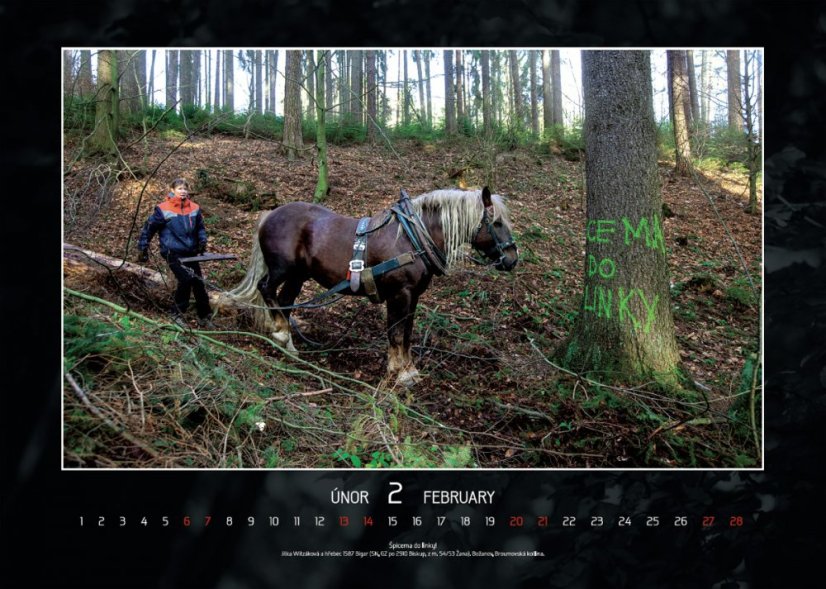 Chladnokrevníci 2021 nástěnný kalendář