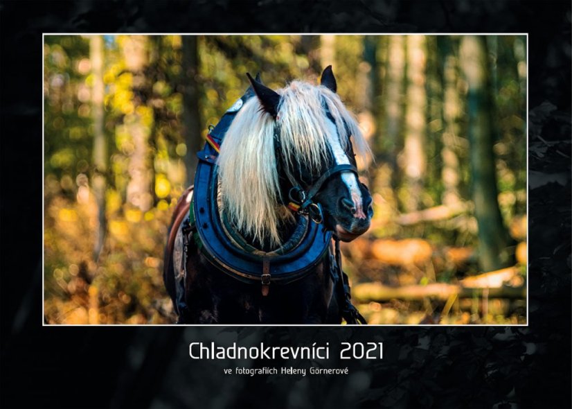 Chladnokrevníci 2021 nástěnný kalendář