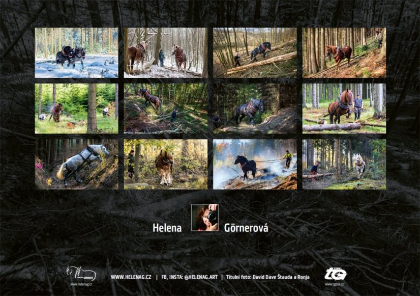 Chladnokrevníci 2023 nástěnný kalendář