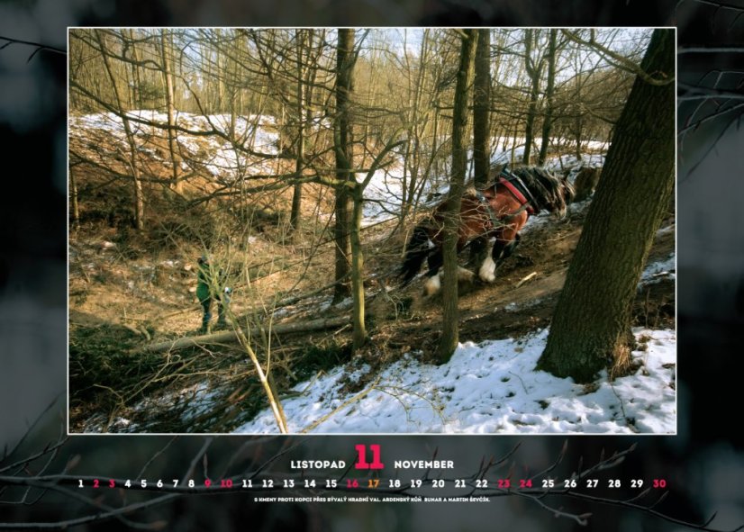 Chladnokrevníci 2019 nástěnný kalendář