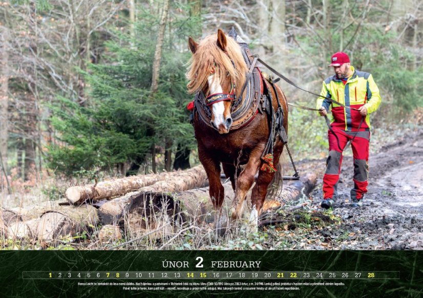 Chladnokrevníci 2026 nástěnný kalendář