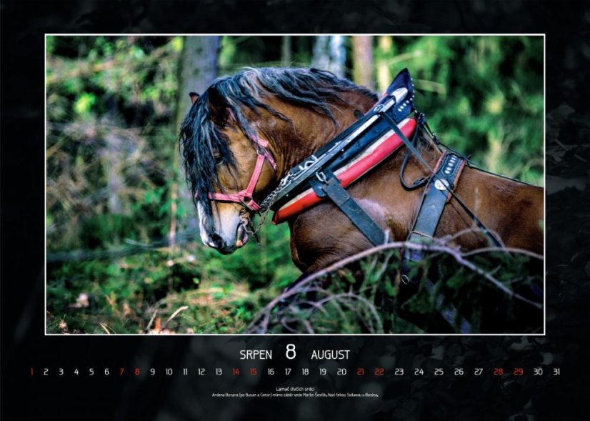 Chladnokrevníci 2021 nástěnný kalendář