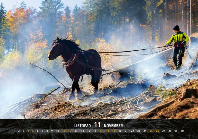 Chladnokrevníci 2023 nástěnný kalendář